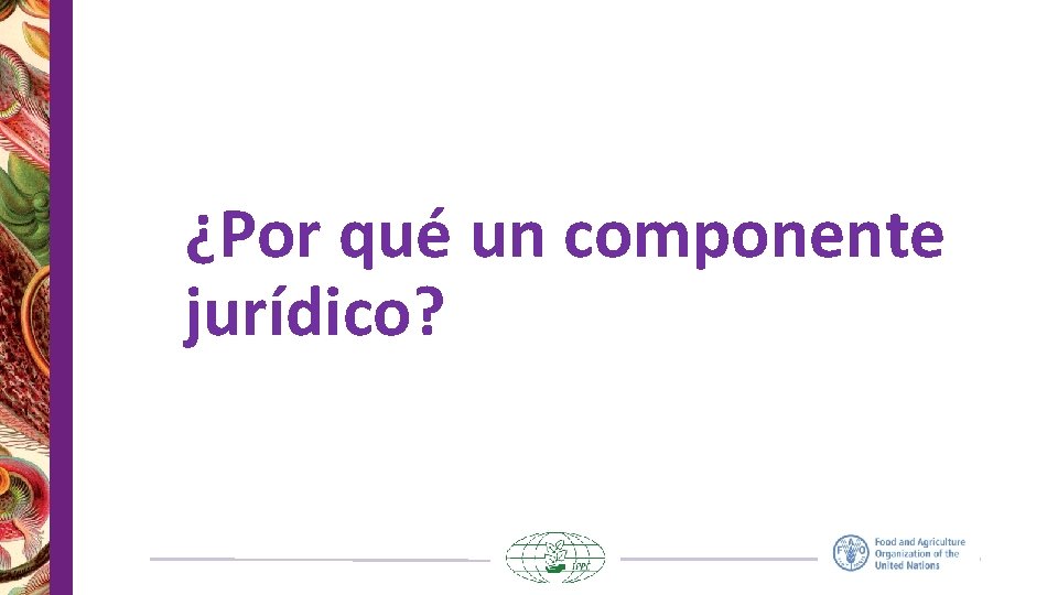 ¿Por qué un componente jurídico? 