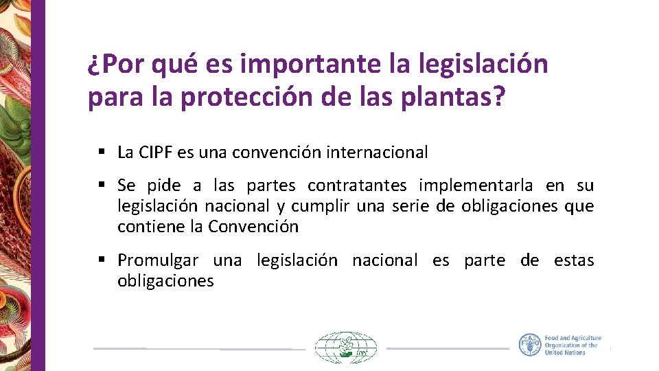 ¿Por qué es importante la legislación para la protección de las plantas? § La