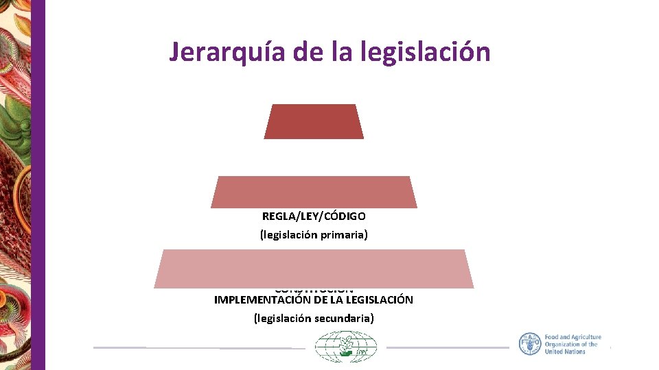 Jerarquía de la legislación REGLA/LEY/CÓDIGO (legislación primaria) CONSTITUCIÓN IMPLEMENTACIÓN DE LA LEGISLACIÓN (legislación secundaria)