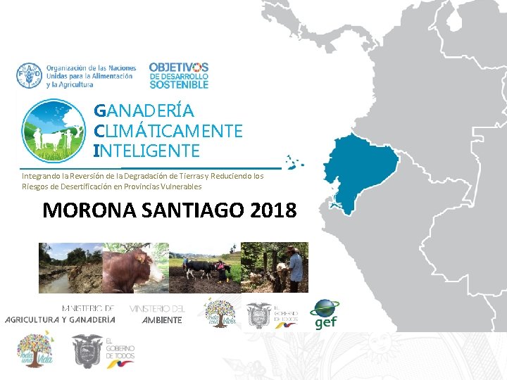 GANADERÍA CLIMÁTICAMENTE INTELIGENTE Integrando la Reversión de la Degradación de Tierras y Reduciendo los