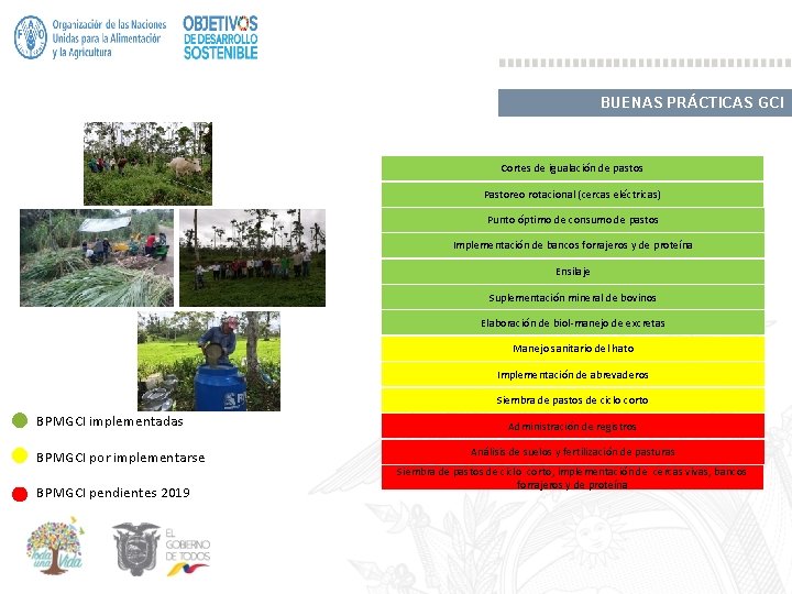 BUENAS PRÁCTICAS GCI Cortes de igualación de pastos Pastoreo rotacional (cercas eléctricas) Punto óptimo