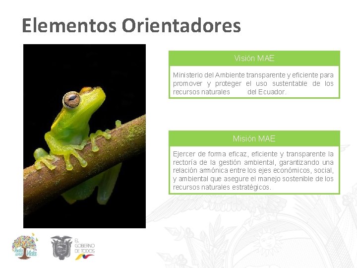 Elementos Orientadores Visión MAE Ministerio del Ambiente transparente y eficiente para promover y proteger