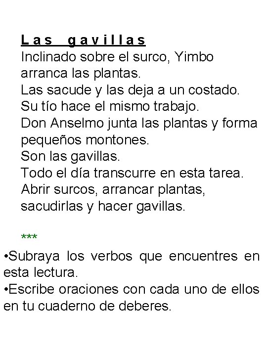 Las gavillas Inclinado sobre el surco, Yimbo arranca las plantas. Las sacude y las
