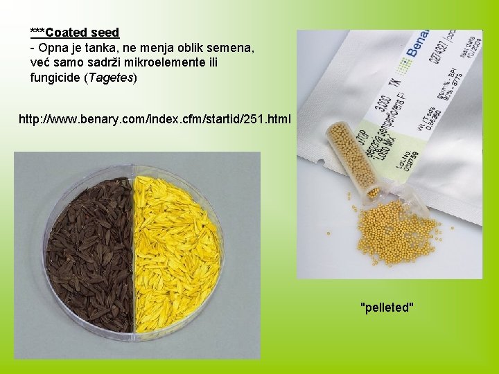 ***Coated seed - Opna je tanka, ne menja oblik semena, već samo sadrži mikroelemente