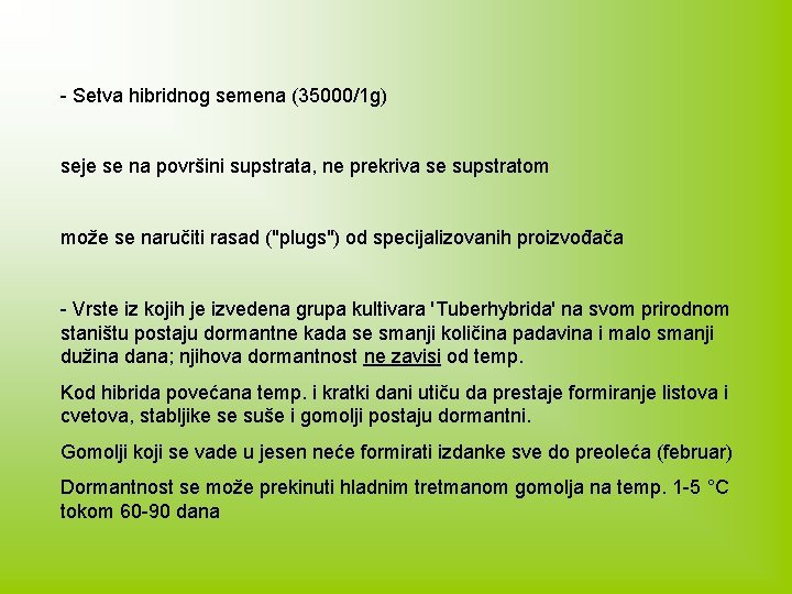 - Setva hibridnog semena (35000/1 g) seje se na površini supstrata, ne prekriva se