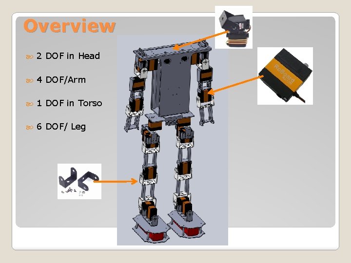 Overview 2 DOF in Head 4 DOF/Arm 1 DOF in Torso 6 DOF/ Leg