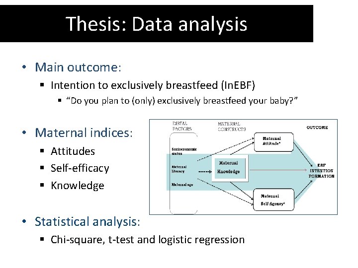 Thesis: Data analysis • Main outcome: § Intention to exclusively breastfeed (In. EBF) §
