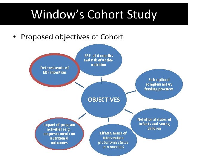 Window’s Cohort Study • Proposed objectives of Cohort Determinants of EBF intention EBF at