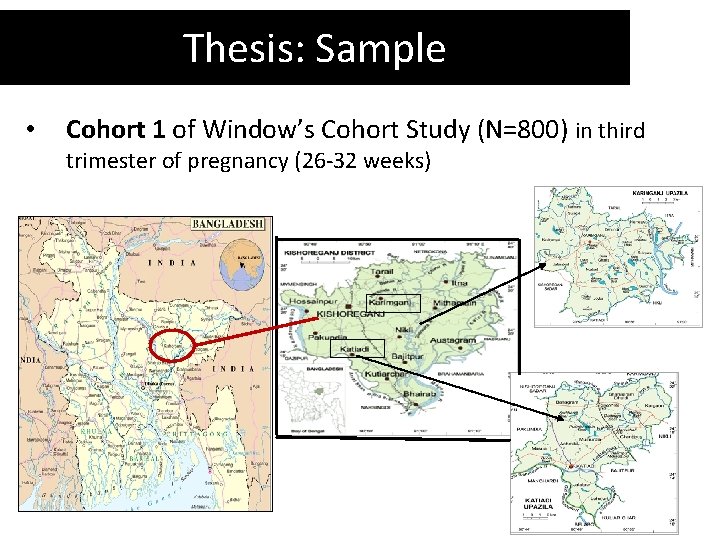 Thesis: Sample • Cohort 1 of Window’s Cohort Study (N=800) in third trimester of
