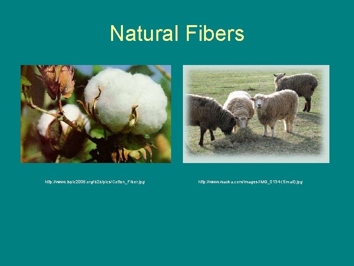 Natural Fibers http: //www. isplc 2006. org/b 2 b/pics/Cotton_Fiber. jpg http: //www. wauka. com/images/IMG_0134