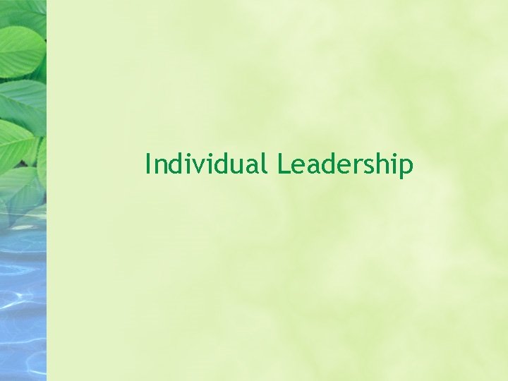 Individual Leadership 