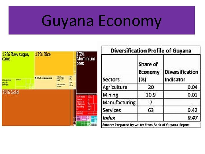 Guyana Economy 