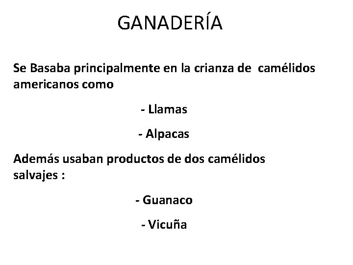 GANADERÍA Se Basaba principalmente en la crianza de camélidos americanos como - Llamas -