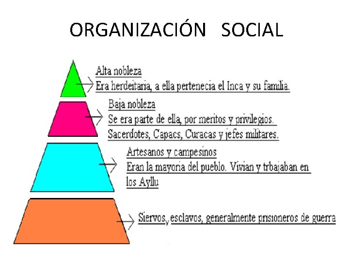 ORGANIZACIÓN SOCIAL 
