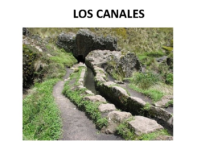 LOS CANALES 