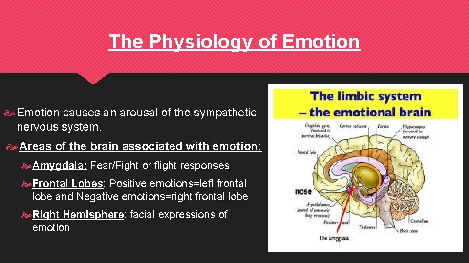 The Physiology of Emotion causes an arousal of the sympathetic nervous system. Areas of