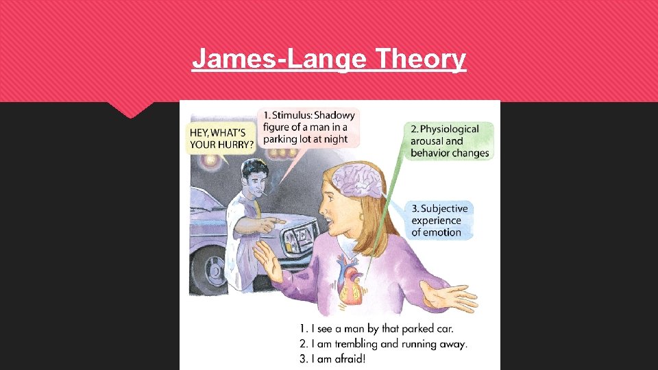 James-Lange Theory 
