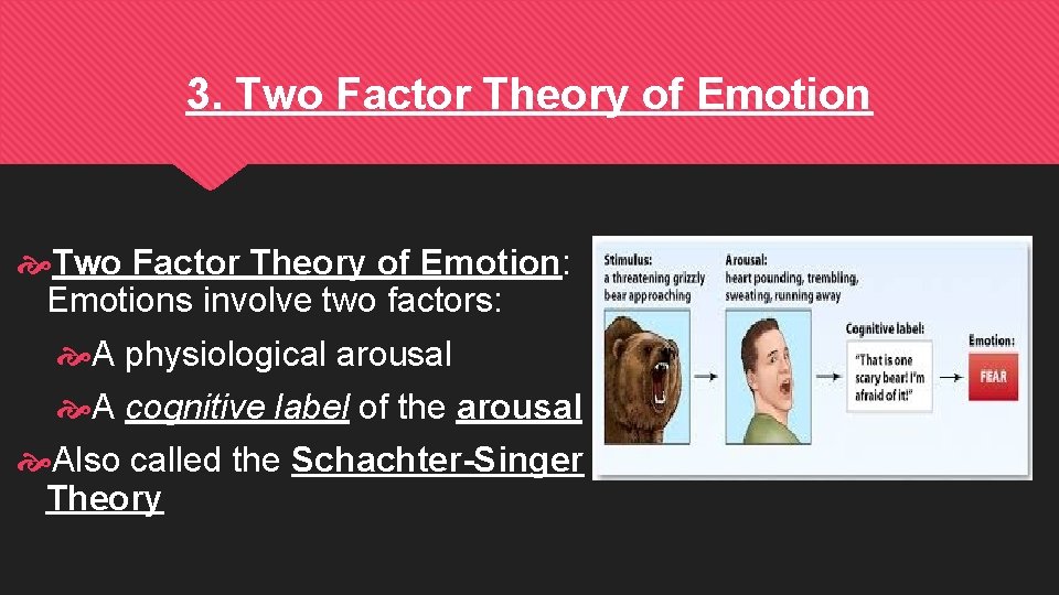 3. Two Factor Theory of Emotion: Emotions involve two factors: A physiological arousal A