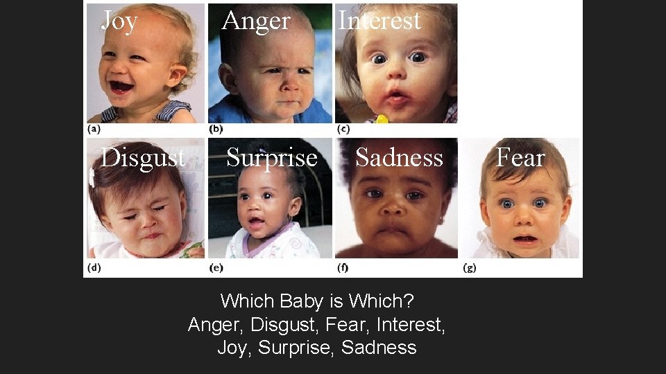 Joy Anger Disgust Surprise Interest Sadness Which Baby is Which? Anger, Disgust, Fear, Interest,