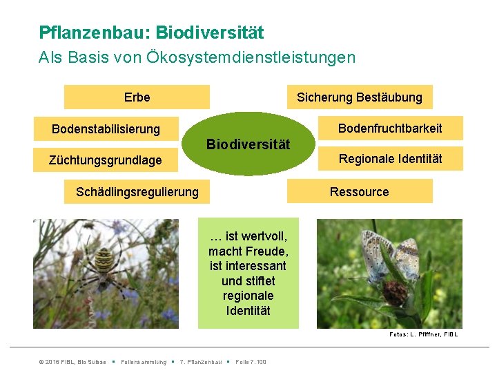 Pflanzenbau: Biodiversität Als Basis von Ökosystemdienstleistungen Erbe Sicherung Bestäubung Bodenfruchtbarkeit Bodenstabilisierung Biodiversität Regionale Identität