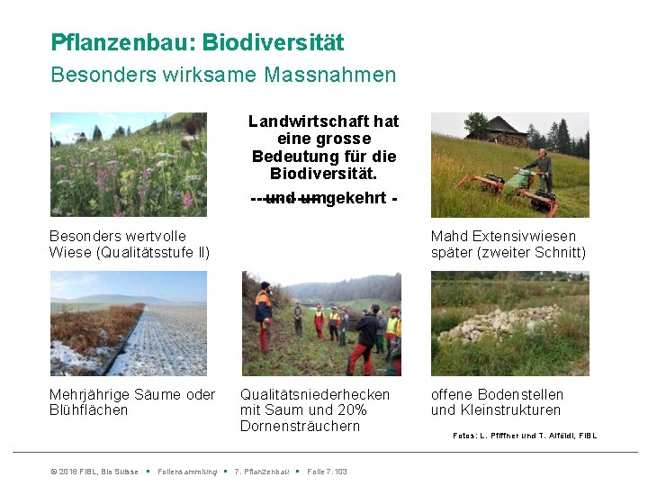 Pflanzenbau: Biodiversität Besonders wirksame Massnahmen Landwirtschaft hat eine grosse Bedeutung für die Biodiversität. und