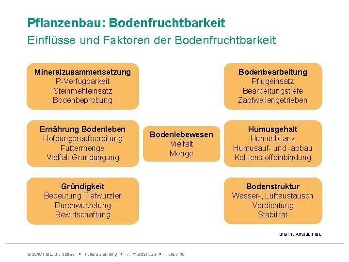 Pflanzenbau: Bodenfruchtbarkeit Einflüsse und Faktoren der Bodenfruchtbarkeit Mineralzusammensetzung P-Verfügbarkeit Steinmehleinsatz Bodenbeprobung Ernährung Bodenleben Hofdüngeraufbereitung