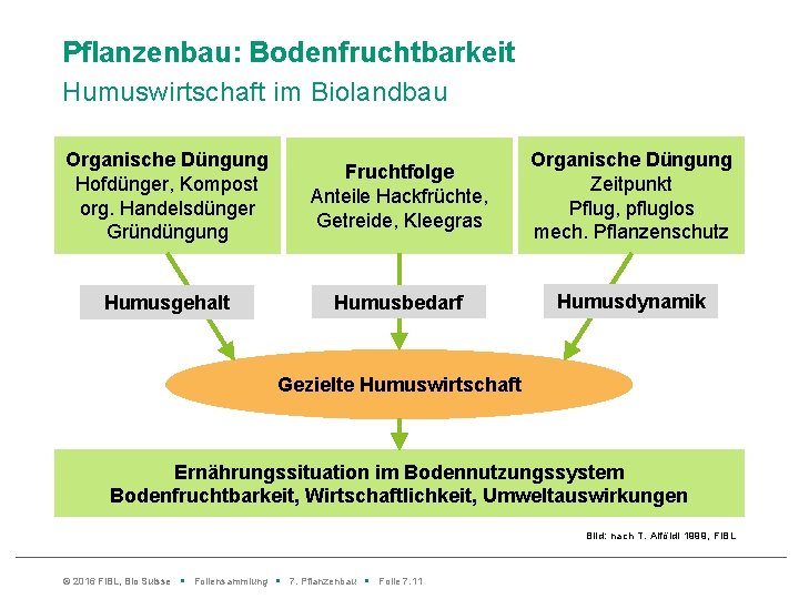 Pflanzenbau: Bodenfruchtbarkeit Humuswirtschaft im Biolandbau Organische Düngung Hofdünger, Kompost org. Handelsdünger Gründüngung Fruchtfolge Anteile