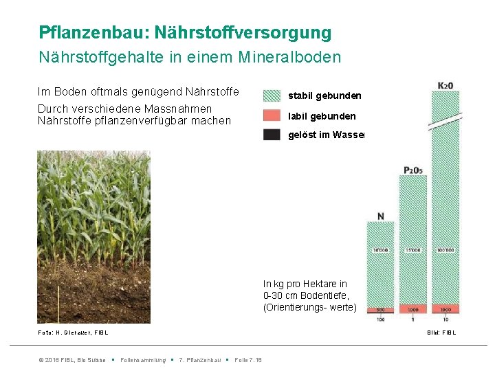 Pflanzenbau: Nährstoffversorgung Nährstoffgehalte in einem Mineralboden Im Boden oftmals genügend Nährstoffe stabil gebunden Durch