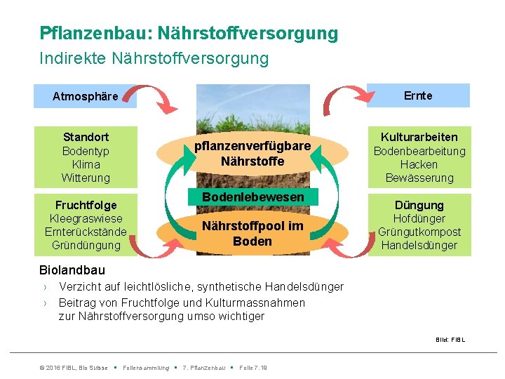 Pflanzenbau: Nährstoffversorgung Indirekte Nährstoffversorgung Ernte Atmosphäre Standort Bodentyp Klima Witterung Fruchtfolge Kleegraswiese Ernterückstände Gründüngung