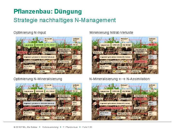 Pflanzenbau: Düngung Strategie nachhaltiges N-Management Optimierung N-Input Minimierung Nitrat-Verluste Optimierung N-Mineralisierung N-Assimilation © 2016