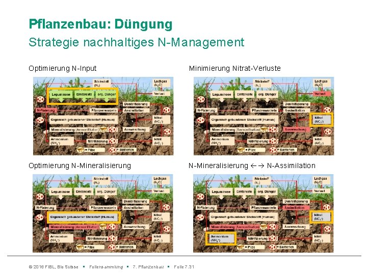 Pflanzenbau: Düngung Strategie nachhaltiges N-Management Optimierung N-Input Minimierung Nitrat-Verluste Optimierung N-Mineralisierung N-Assimilation © 2016