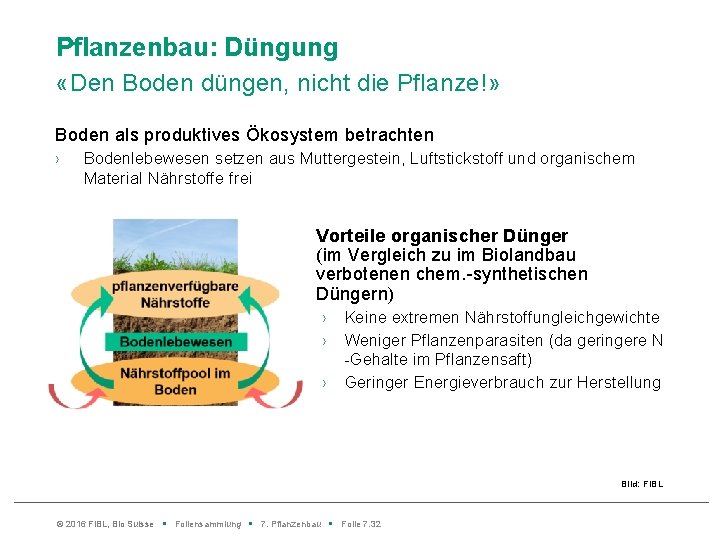 Pflanzenbau: Düngung «Den Boden düngen, nicht die Pflanze!» Boden als produktives Ökosystem betrachten ›