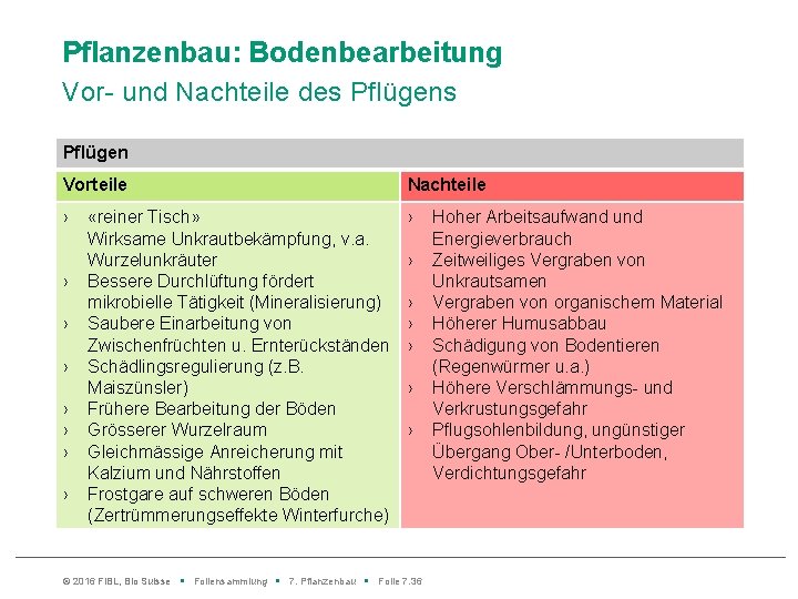 Pflanzenbau: Bodenbearbeitung Vor- und Nachteile des Pflügen Vorteile Nachteile › › › › ›