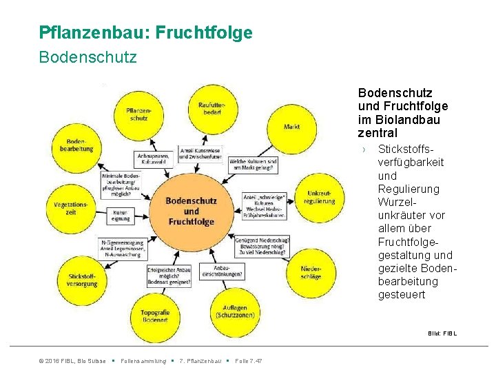 Pflanzenbau: Fruchtfolge Bodenschutz und Fruchtfolge im Biolandbau zentral › Stickstoffsverfügbarkeit und Regulierung Wurzelunkräuter vor