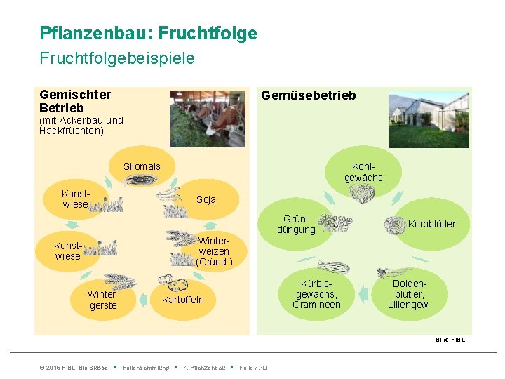 Pflanzenbau: Fruchtfolgebeispiele Gemischter Betrieb Gemüsebetrieb (mit Ackerbau und Hackfrüchten) Silomais Kunstwiese Kohlgewächs Soja Gründüngung