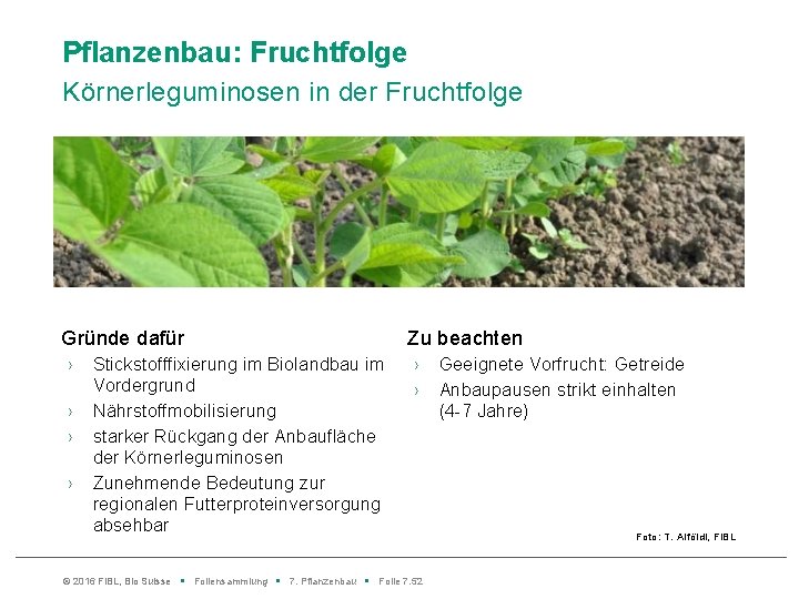 Pflanzenbau: Fruchtfolge Körnerleguminosen in der Fruchtfolge Gründe dafür › › Stickstofffixierung im Biolandbau im