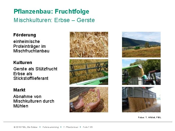 Pflanzenbau: Fruchtfolge Mischkulturen: Erbse – Gerste Förderung einheimische Proteinträger im Mischfruchtanbau Kulturen Gerste als