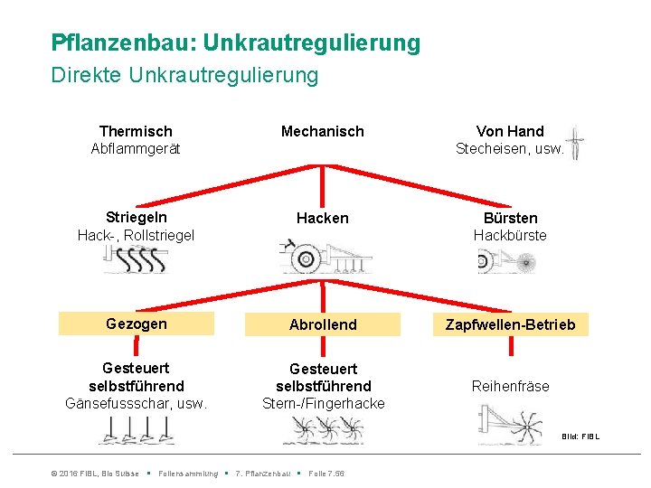 Pflanzenbau: Unkrautregulierung Direkte Unkrautregulierung Thermisch Abflammgerät Mechanisch Von Hand Stecheisen, usw. Striegeln Hack-, Rollstriegel