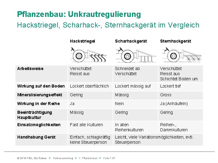 Pflanzenbau: Unkrautregulierung Hackstriegel, Scharhack-, Sternhackgerät im Vergleich Hackstriegel Scharhackgerät Sternhackgerät Arbeitsweise Verschüttet Reisst aus