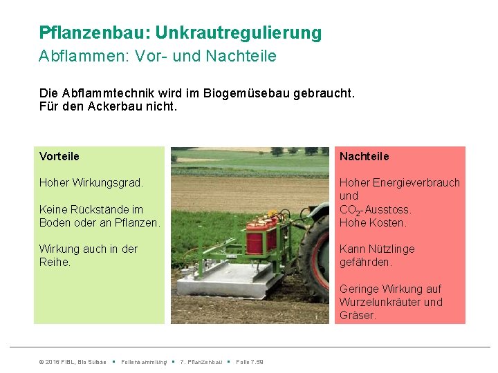 Pflanzenbau: Unkrautregulierung Abflammen: Vor- und Nachteile Die Abflammtechnik wird im Biogemüsebau gebraucht. Für den