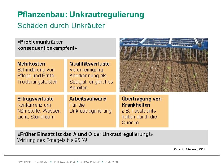 Pflanzenbau: Unkrautregulierung Schäden durch Unkräuter «Problemunkräuter konsequent bekämpfen!» Mehrkosten Behinderung von Pflege und Ernte,