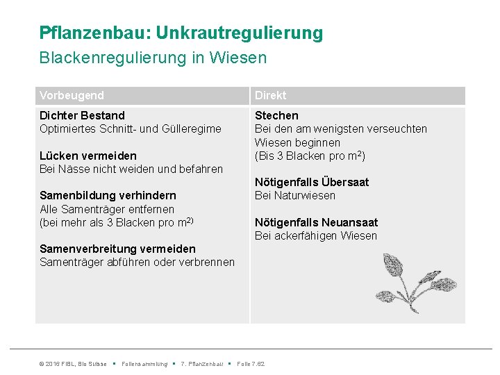 Pflanzenbau: Unkrautregulierung Blackenregulierung in Wiesen Vorbeugend Direkt Dichter Bestand Optimiertes Schnitt- und Gülleregime Stechen