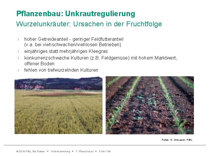 Pflanzenbau: Unkrautregulierung Wurzelunkräuter: Ursachen in der Fruchtfolge › › hoher Getreideanteil - geringer Feldfutteranteil