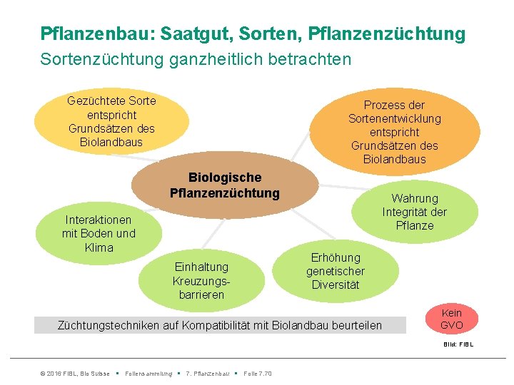 Pflanzenbau: Saatgut, Sorten, Pflanzenzüchtung Sortenzüchtung ganzheitlich betrachten Gezüchtete Sorte entspricht Grundsätzen des Biolandbaus Prozess