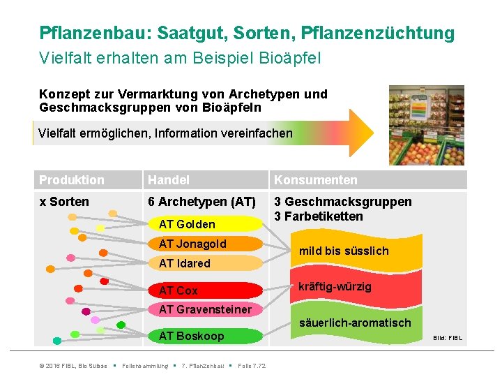 Pflanzenbau: Saatgut, Sorten, Pflanzenzüchtung Vielfalt erhalten am Beispiel Bioäpfel Konzept zur Vermarktung von Archetypen
