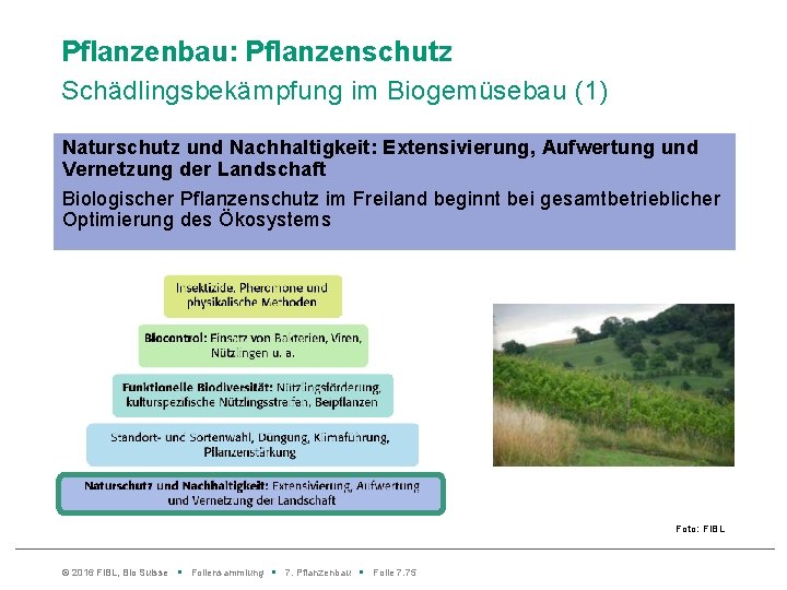 Pflanzenbau: Pflanzenschutz Schädlingsbekämpfung im Biogemüsebau (1) Naturschutz und Nachhaltigkeit: Extensivierung, Aufwertung und Vernetzung der