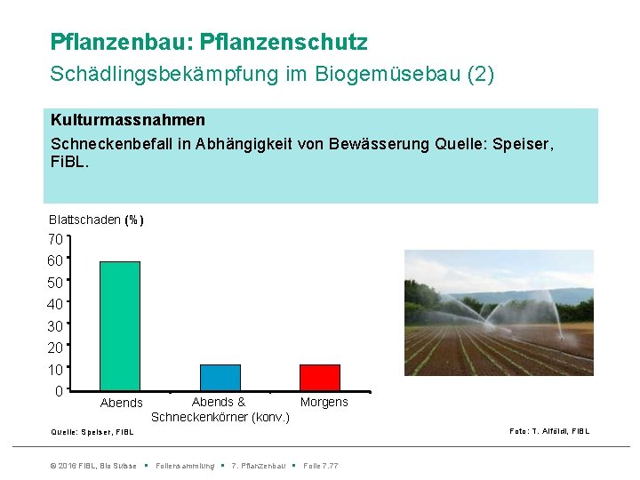 Pflanzenbau: Pflanzenschutz Schädlingsbekämpfung im Biogemüsebau (2) Kulturmassnahmen Schneckenbefall in Abhängigkeit von Bewässerung Quelle: Speiser,