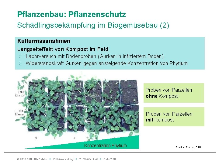 Pflanzenbau: Pflanzenschutz Schädlingsbekämpfung im Biogemüsebau (2) Kulturmassnahmen Langzeiteffekt von Kompost im Feld › ›