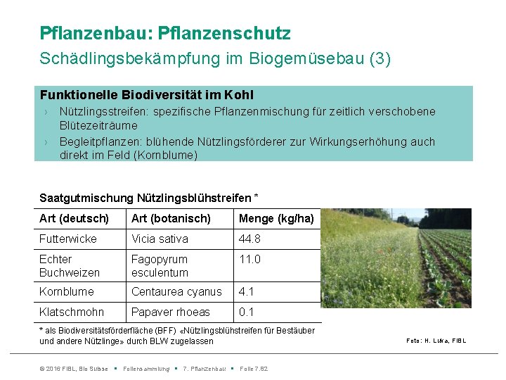 Pflanzenbau: Pflanzenschutz Schädlingsbekämpfung im Biogemüsebau (3) Funktionelle Biodiversität im Kohl › › Nützlingsstreifen: spezifische