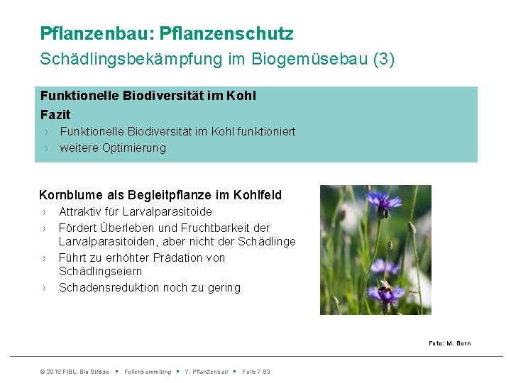 Pflanzenbau: Pflanzenschutz Schädlingsbekämpfung im Biogemüsebau (3) Funktionelle Biodiversität im Kohl Fazit › › Funktionelle